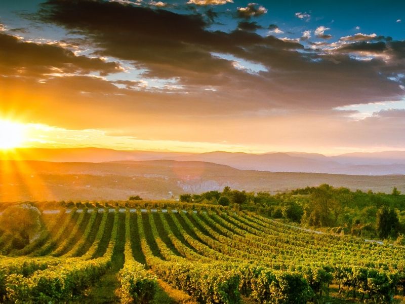 Parcours Buggy terroir